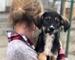 Volunteer at the puppy shelter in Slatina