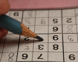 Volunteer at the World Sudoku and Puzzle Championships