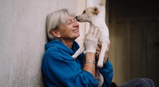 Грижи се за бездомните кучета от Helen's House of Hope до Враца