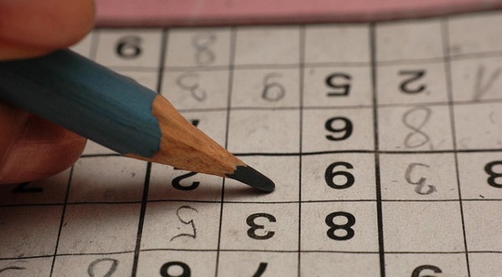 Volunteer at the World Sudoku and Puzzle Championships
