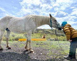 Lead a Therapy Horse for Children with Specific Needs in Kokalyane