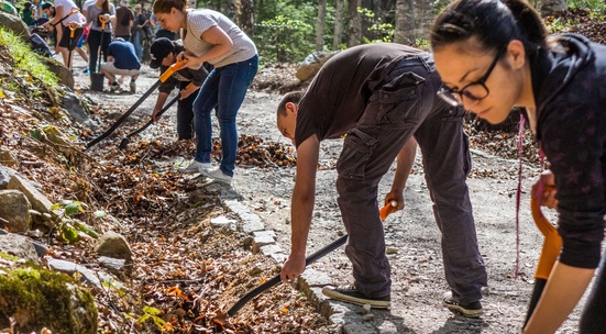 Rake up leaf litter along the Zlatni mostove trail on Vitosha