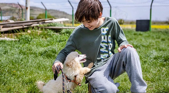 Walk the dogs of the shelter "1500 Dog Gang" in Seslavtsi