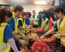 Sort out donated food for people in need