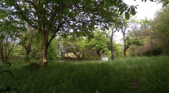 Участвай в засаждане на желъди в живописно селце близо до София