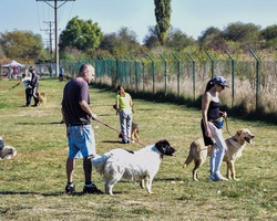 Walk a dog from the 1500 Dog Gang in the municpal shelter near Sofia