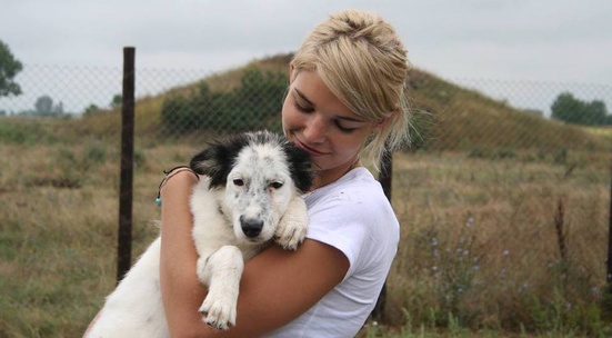 Стани временен приемен стопанин на бездомно куче или коте в Пловдив