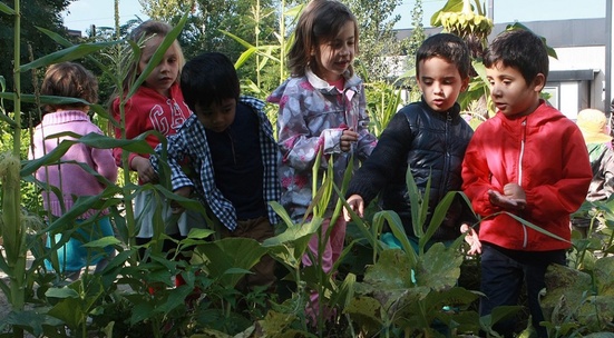 Помагай на малки градинари в тяхната квартална био градинка в София