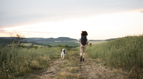 Be a volunteer at the first "dog friendly" mountain marathon in the Eastern Rhodopes