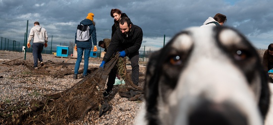 Help build the largest open shelter for dogs on the Balkans