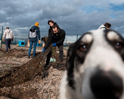 Помогни за изграждането на най-големия приют за кучета от отворен тип на Балканите
