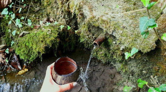 Включи се в почистване на двата извора за питейна вода в мездренските села Ослен Криводол и Лик 