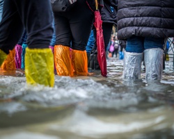 Подкрепи пострадалите от наводнението в Берковица с храни и хигиенни материали
