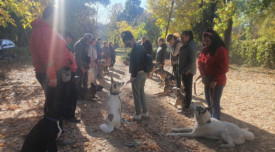 Помогни на куче от приют в Пловдив да намери дом, като му станеш партньор за кучешки тренировки