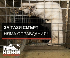 Citizens' initiative to ban fur farming