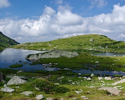 Take part in activities protecting Bulgarian nature
